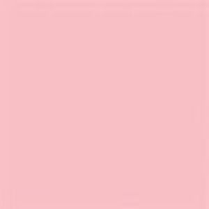 Meet your Posher, Brianne